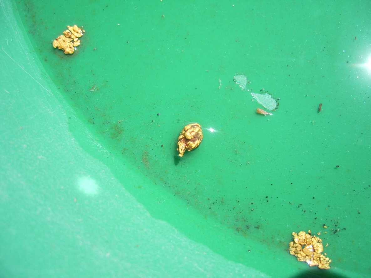 Close up of GOLD found testing on 01-16-2015!